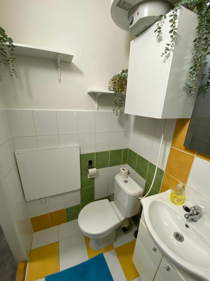 דירות ברנו Downtown Flat Under Spilberk Castle מראה חיצוני תמונה